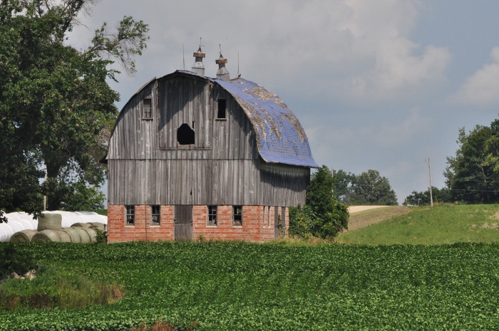 blue-roofed barn